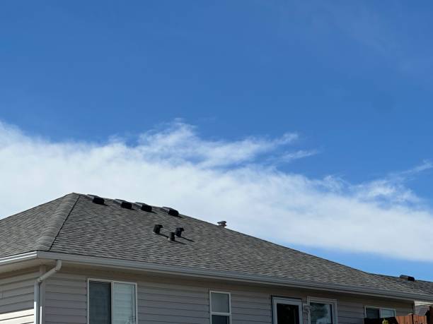 Sheet Metal Roofing in Amelia, OH