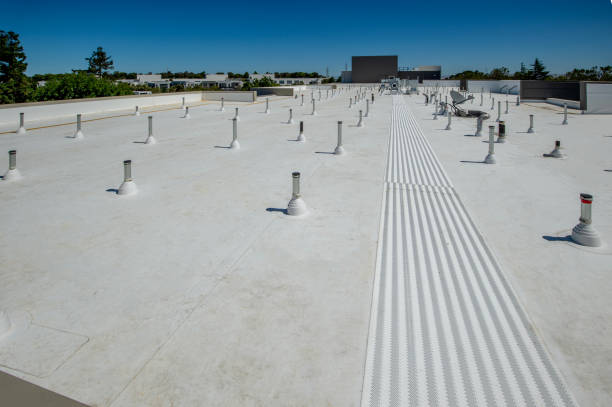 Best Asphalt Shingle Roofing  in Amelia, OH